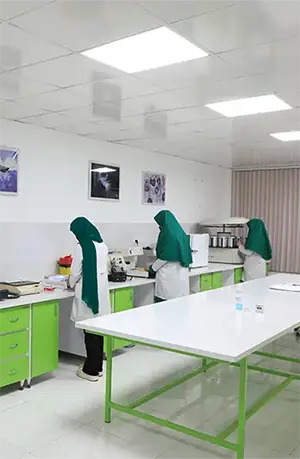 about-image-2